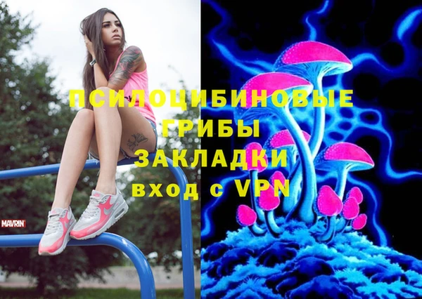 шишки Волоколамск