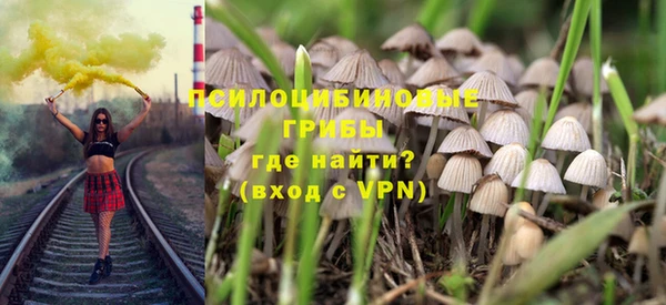 ГАЛЛЮЦИНОГЕННЫЕ ГРИБЫ Верея