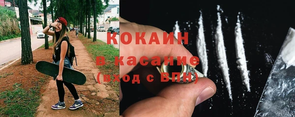 шишки Волоколамск